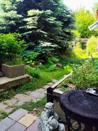 Дом 38 кв. м 1 комната